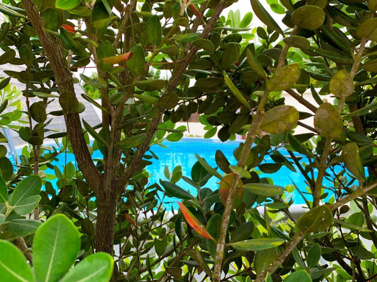 Beachliving Cabana Villa Esmoriz Exterior foto